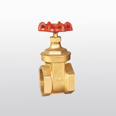101 Brass gate valve