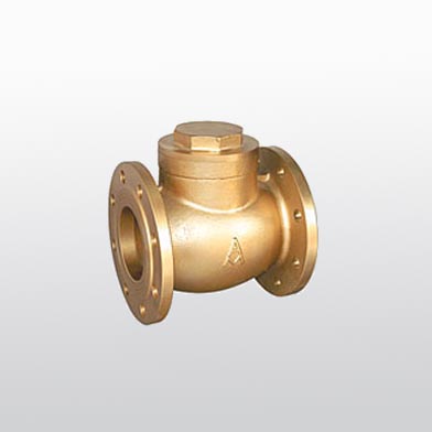 409 brass flange check valve